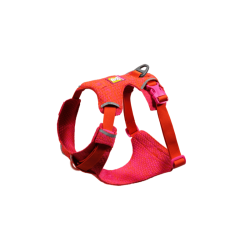 Ruffwear Front Range Flex Knit Harness 