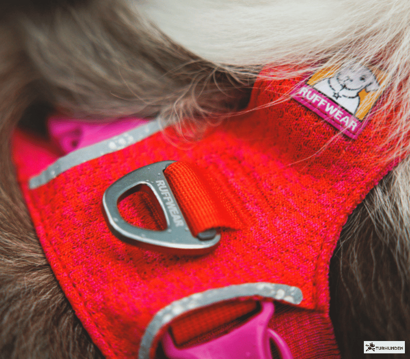 Ruffwear Front Range Flex Knit Harness 