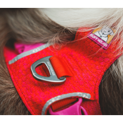 Ruffwear Front Range Flex Knit Harness 