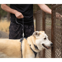 Ruffwear Front Range Dog Short Leash