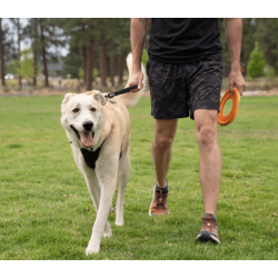 Ruffwear Front Range Dog Short Leash