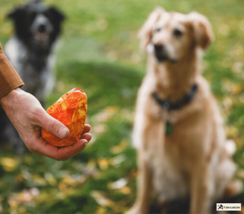 Ruffwear Gnawt-A-Cone