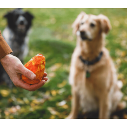 Ruffwear Gnawt-A-Cone