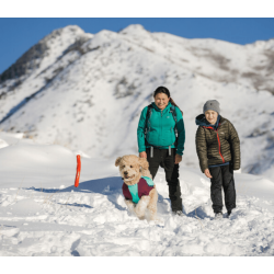 Ruffwear Gnawt-a-Stick
