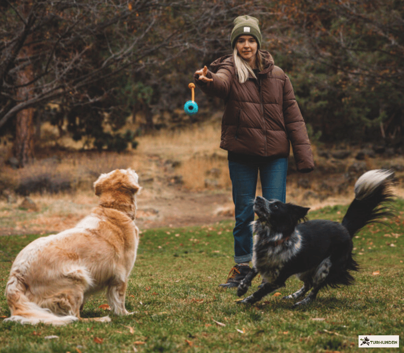 Ruffwear Huck-a-Cone