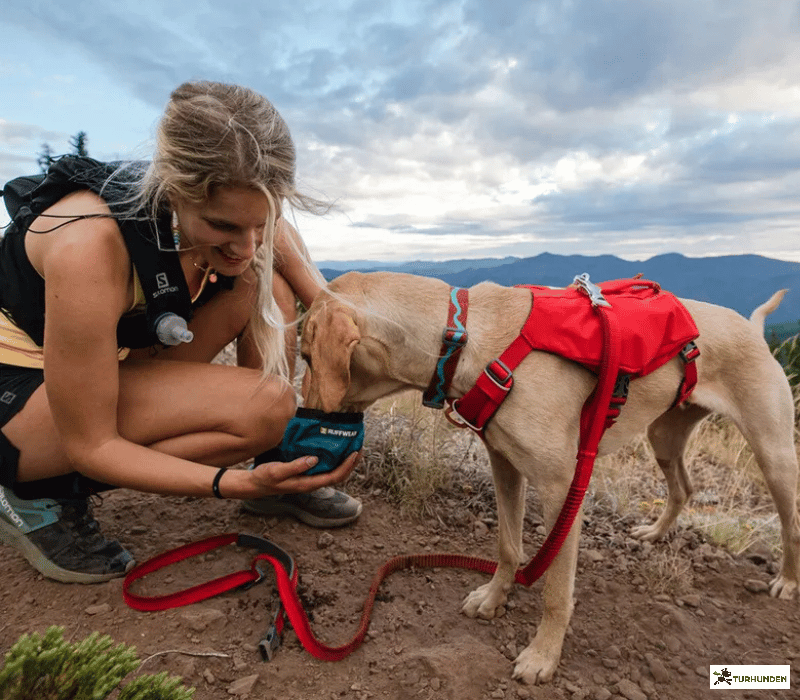 Ruffwear Switchbak Dog Harness