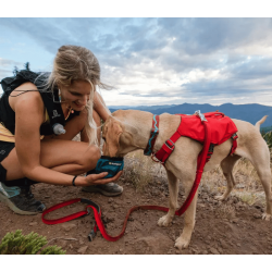 Ruffwear Switchbak Dog Harness