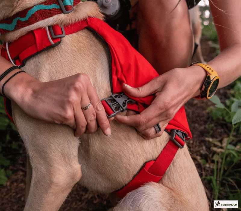 Ruffwear Switchbak Dog Harness