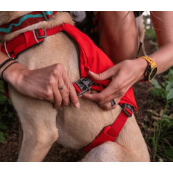 Ruffwear Switchbak Dog Harness