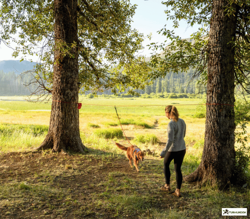 Ruffwear Knot-a-Hitch