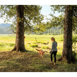 Ruffwear Knot-a-Hitch