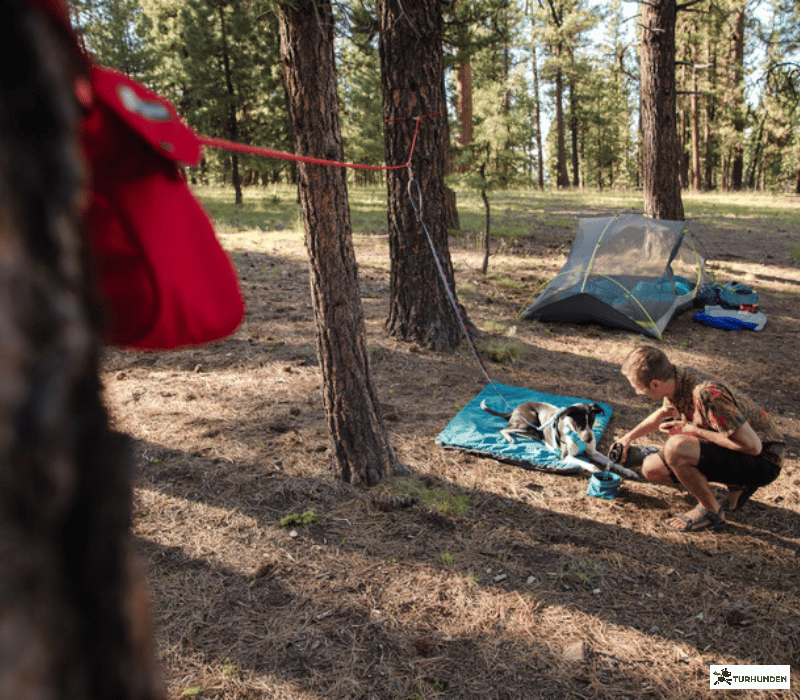 Ruffwear Knot-a-Hitch