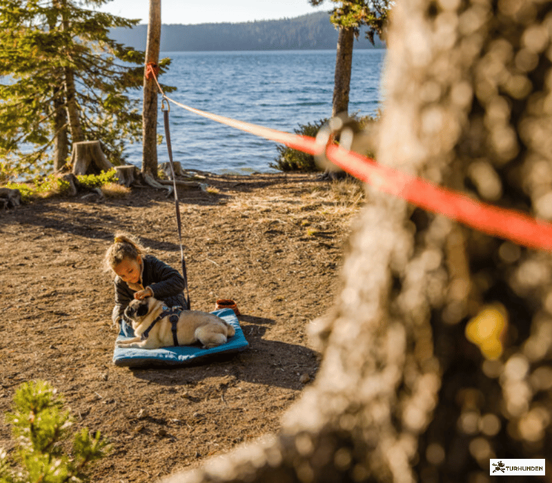 Ruffwear Knot-a-Hitch