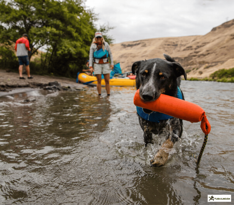 Ruffwear - Lunker