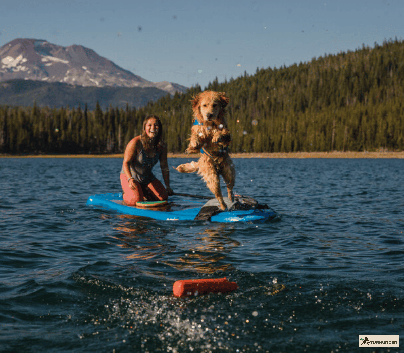 Ruffwear - Lunker