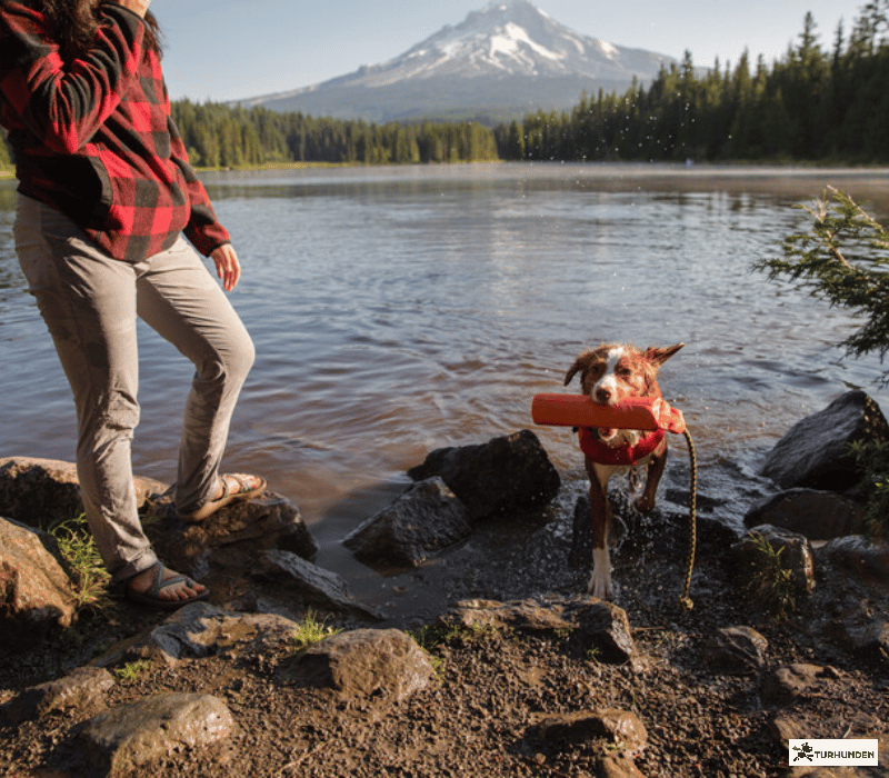 Ruffwear - Lunker