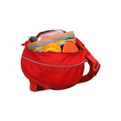 Ruffwear Palisades Pack NY 2026