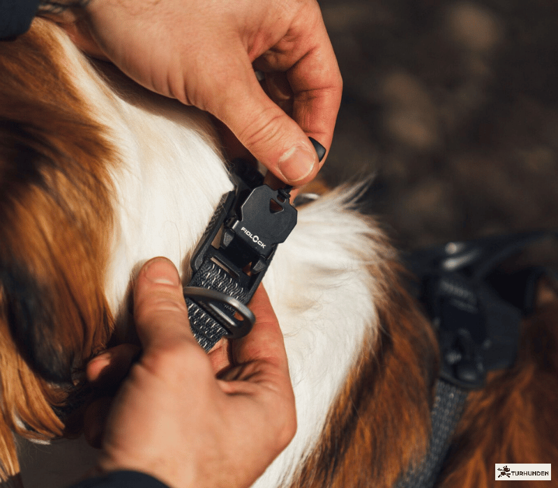 Ruffwear Ridgeline Collar