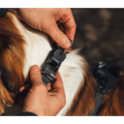 Ruffwear Ridgeline Collar