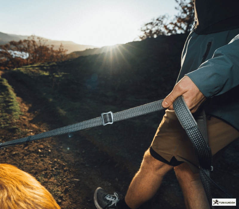 Ruffwear Ridgeline Leash