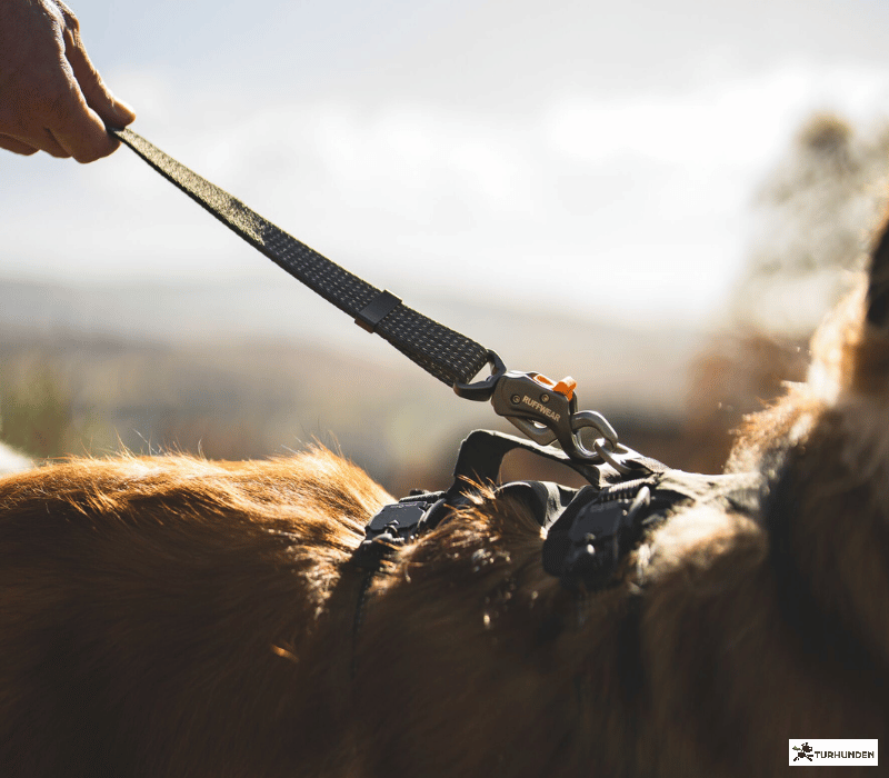 Ruffwear Ridgeline Leash