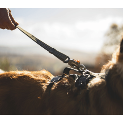 Ruffwear Ridgeline Leash