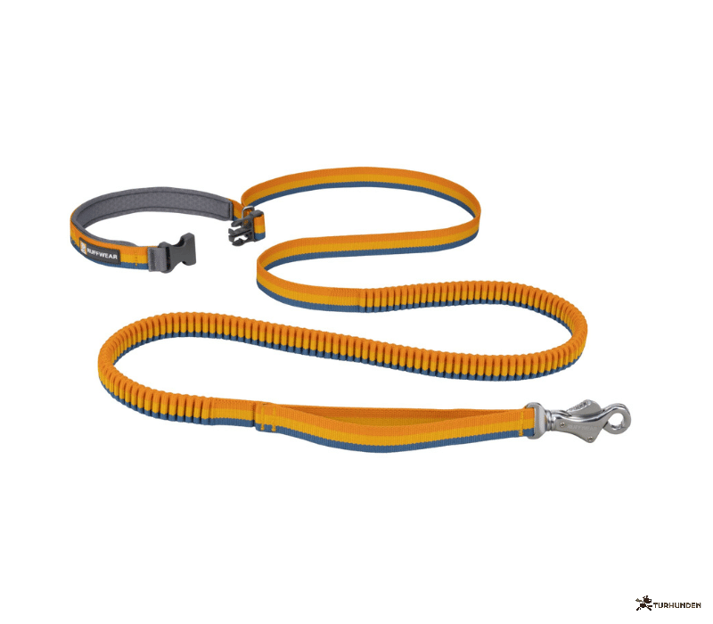 Ruffwear Roamer Leash