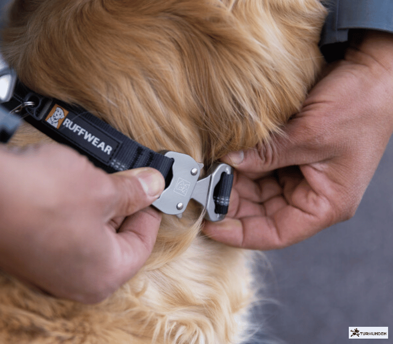 Ruffwear Top Rope Collar