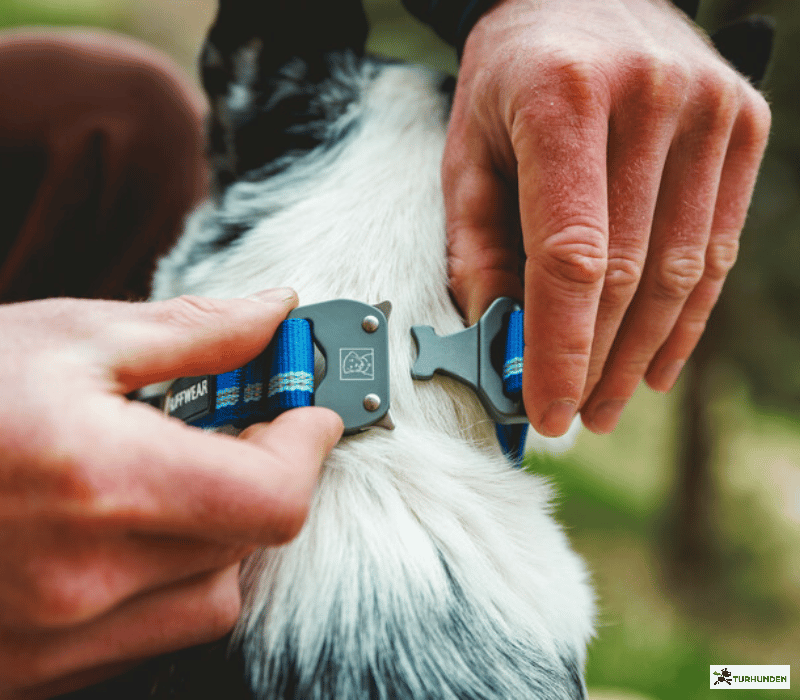 Ruffwear Top Rope Collar