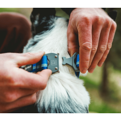 Ruffwear Top Rope Collar