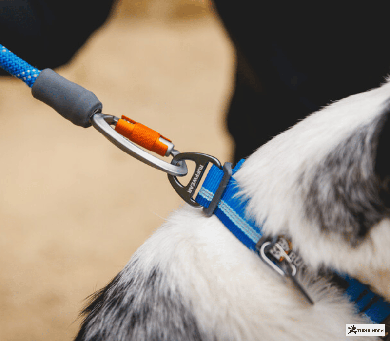 Ruffwear Top Rope Collar