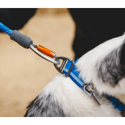 Ruffwear Top Rope Collar