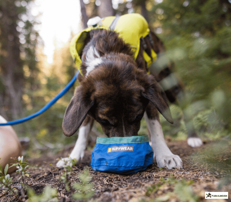 Ruffwear Trail Runner Bowl