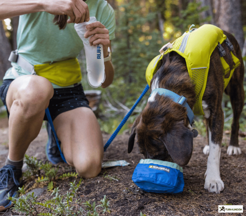 Ruffwear Trail Runner Bowl