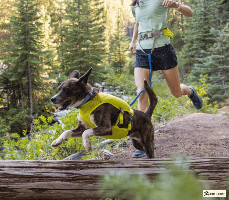 Ruffwear Trail Runner Running Belt