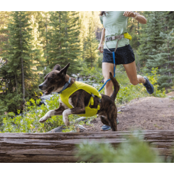 Ruffwear Trail Runner Running Belt