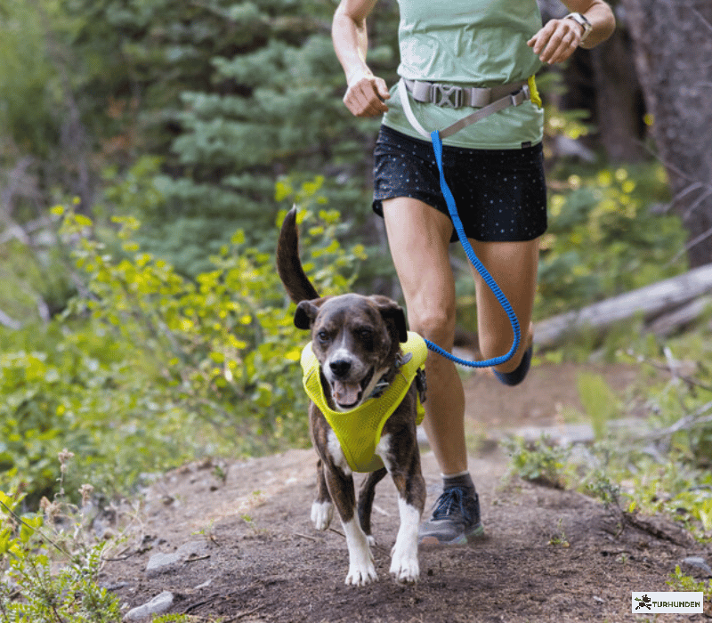Ruffwear Trail Runner Running Belt