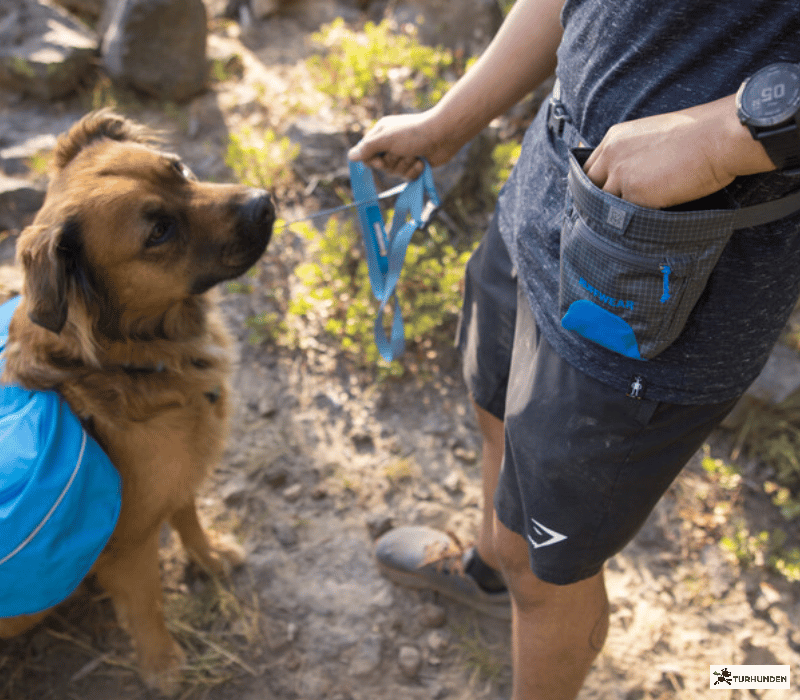 Ruffwear Treat Trader Treat Pouch