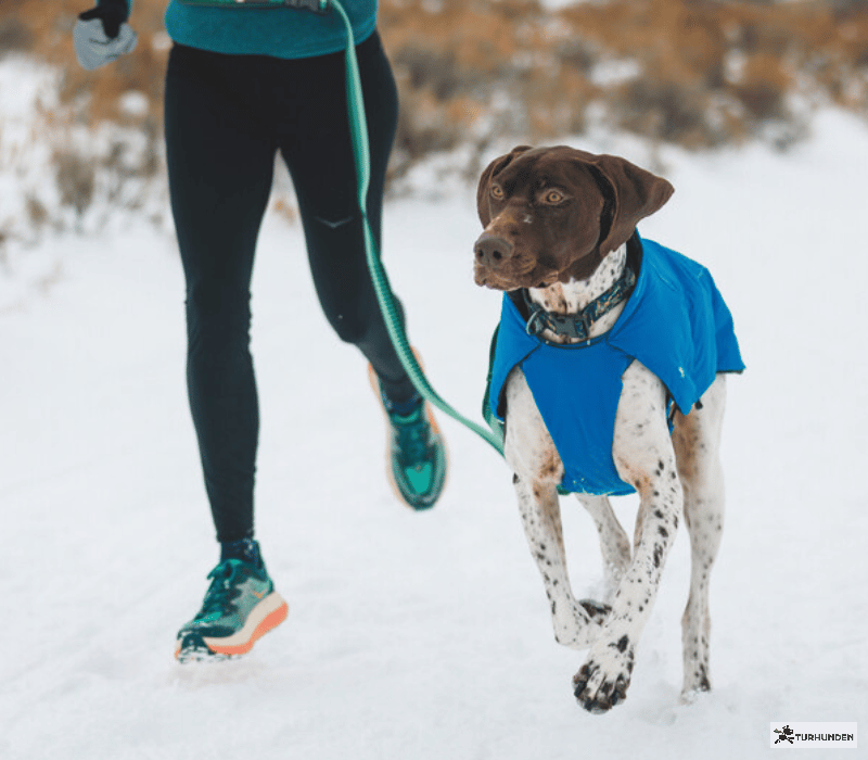 Ruffwear Vert Waterproof Jacket