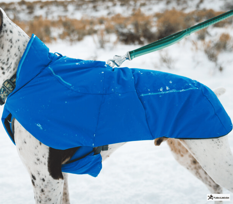Ruffwear Vert Waterproof Jacket