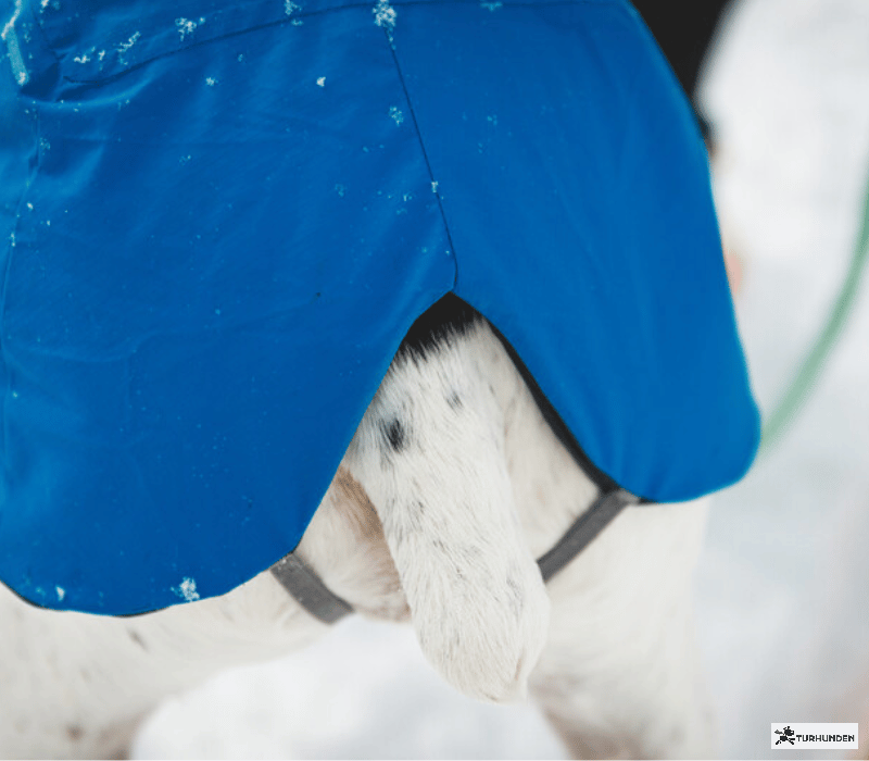 Ruffwear Vert Waterproof Jacket