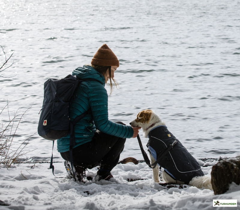 Ruffwear Overcoat Fuse 