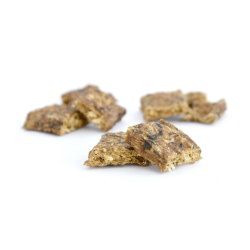 SANADOG Atlantic Cod Cookies