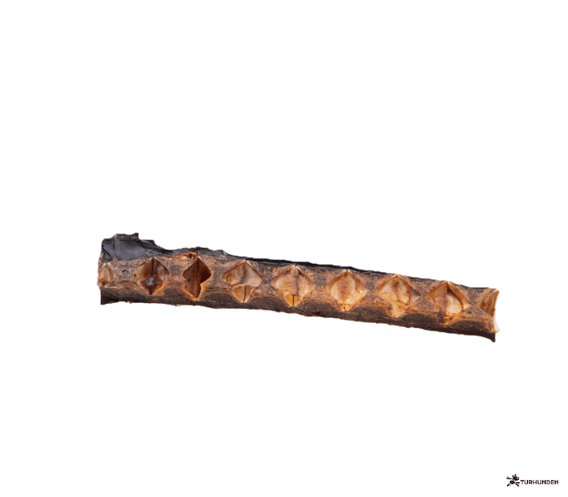 Snack'it Tunben 12-22cm 200g