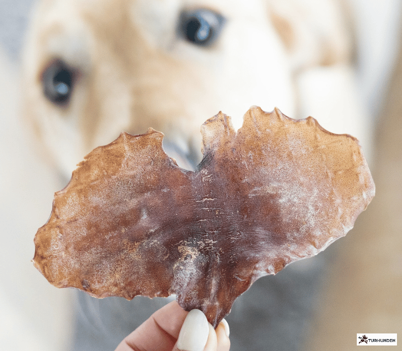 Snack'it Blksprutteplader 250g