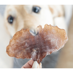 Snack'it Blksprutteplader 250g