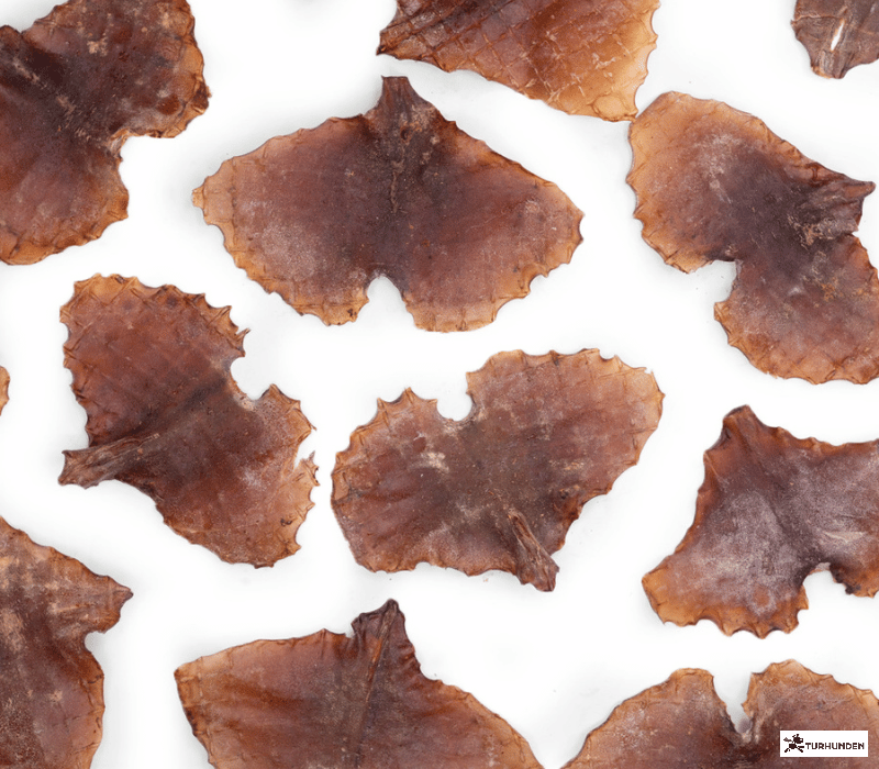 Snack'it Blksprutteplader 250g