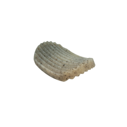 SodaPup Potato Chip