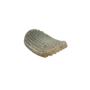 SodaPup Potato Chip