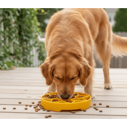 SodaPup Sunflower Softie eTray